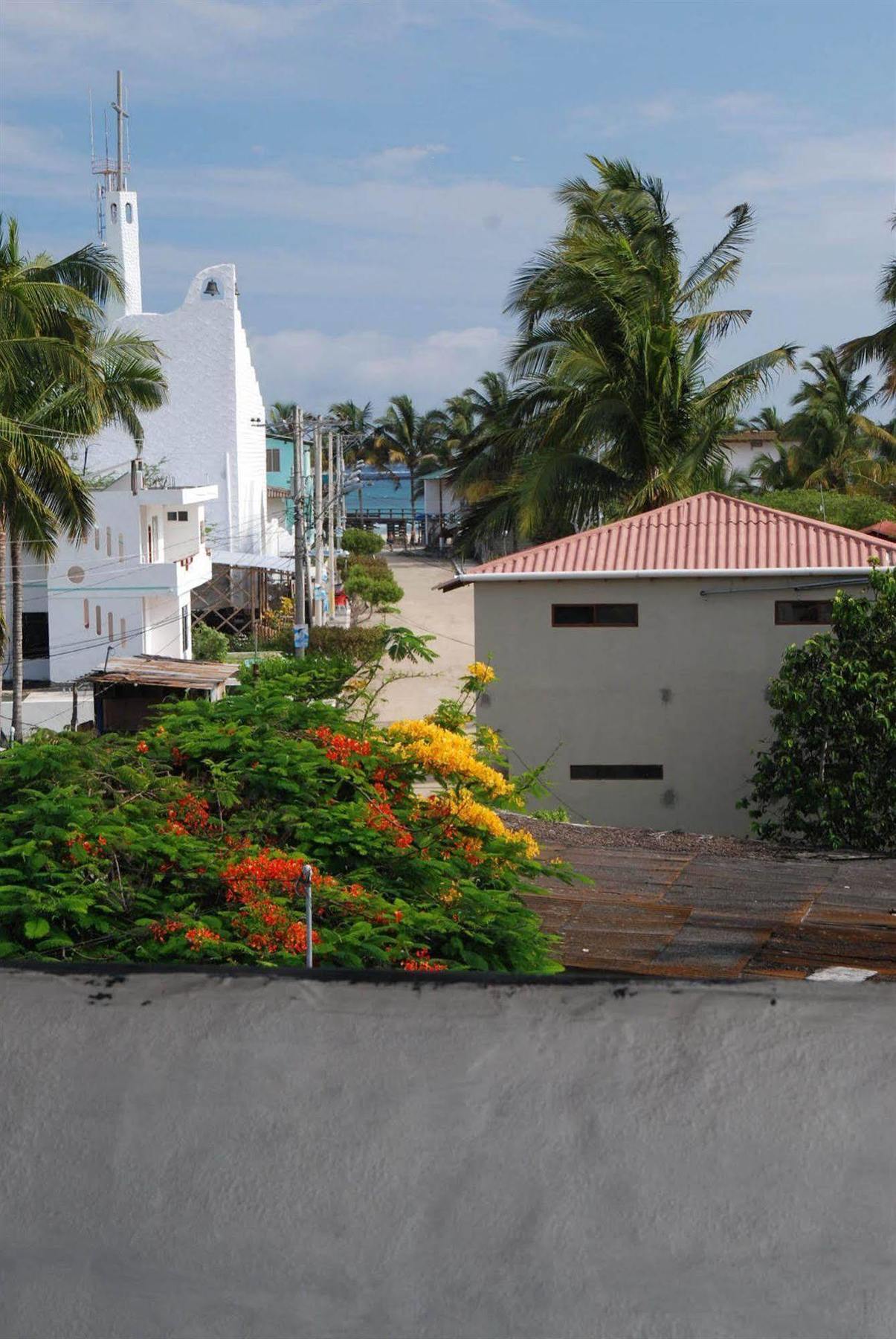 Hotel La Gran Tortuga - ᯤ Starlink Puerto Villamil Exterior foto